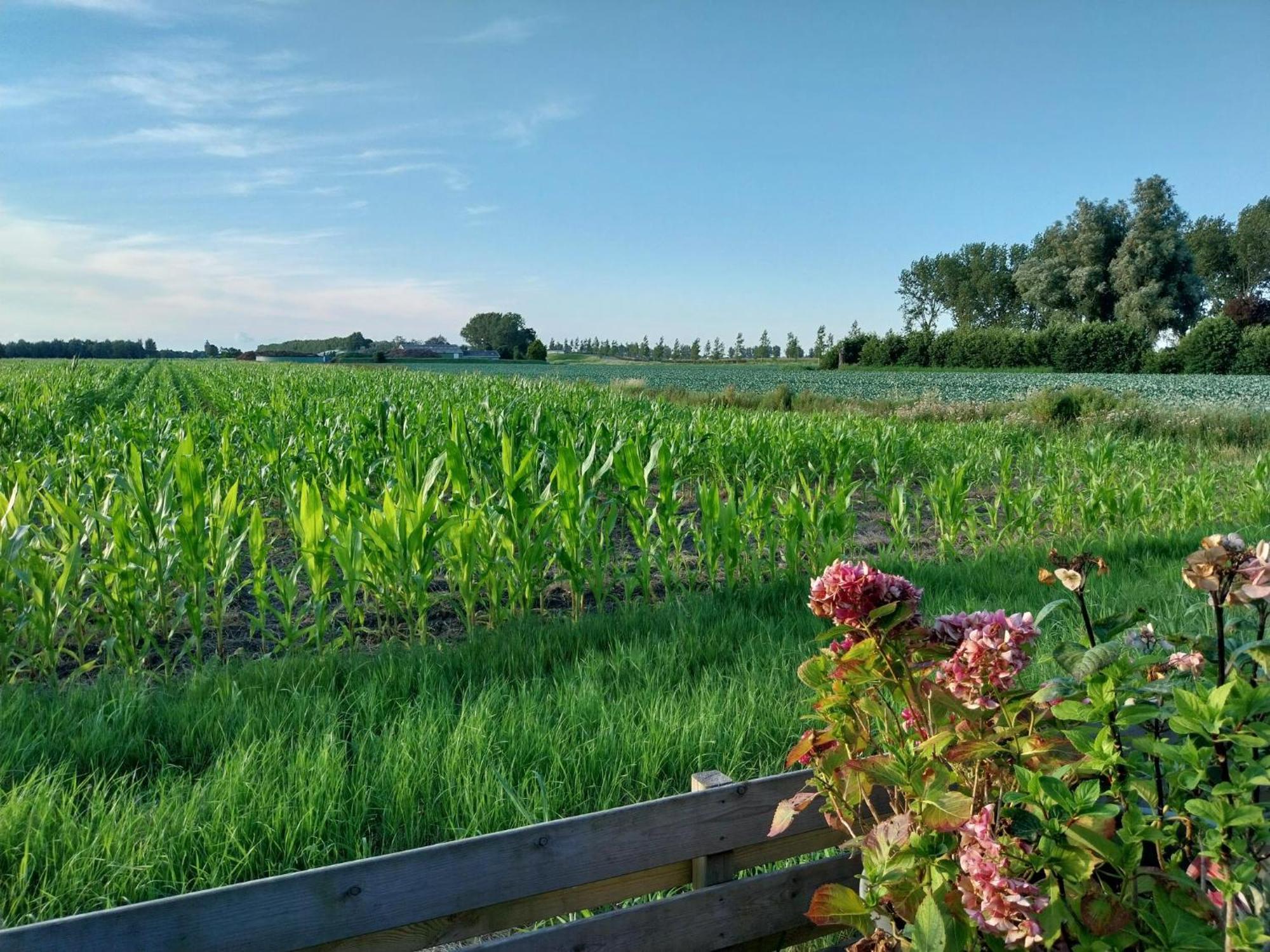 Vakantiewoning Hem Exterior foto